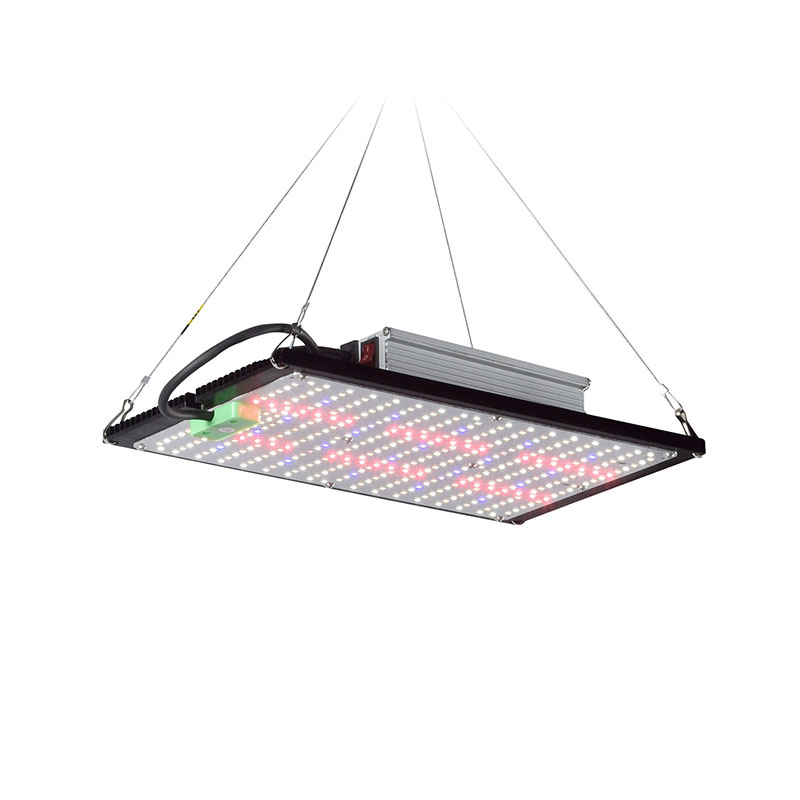 Grow Light Led - LED Quantum-Board Kweeklamp Volledig Spectrum Hangende