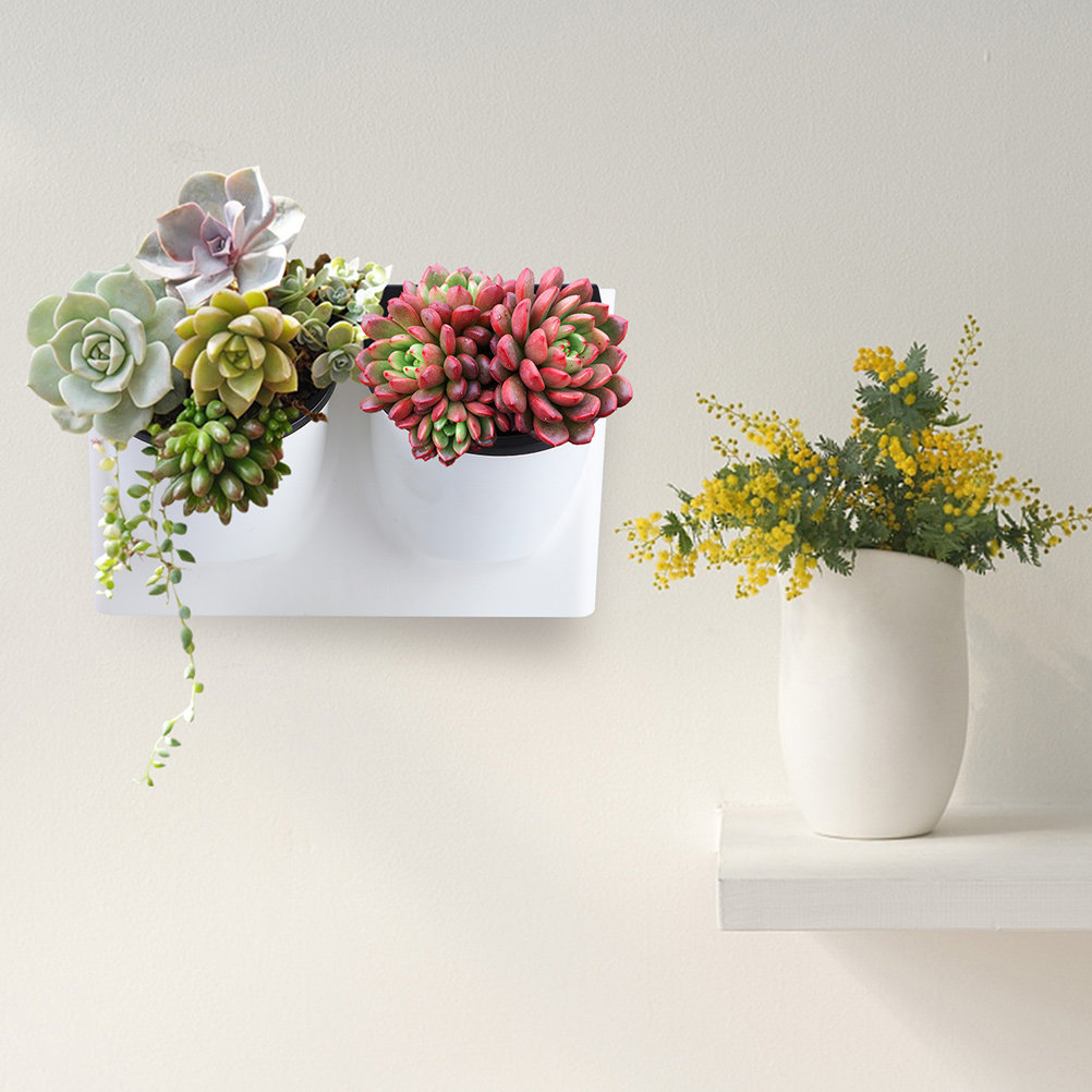 Self Watering Planter - Zelfwaterende bloempot van plastic, paarse plantenbak,
