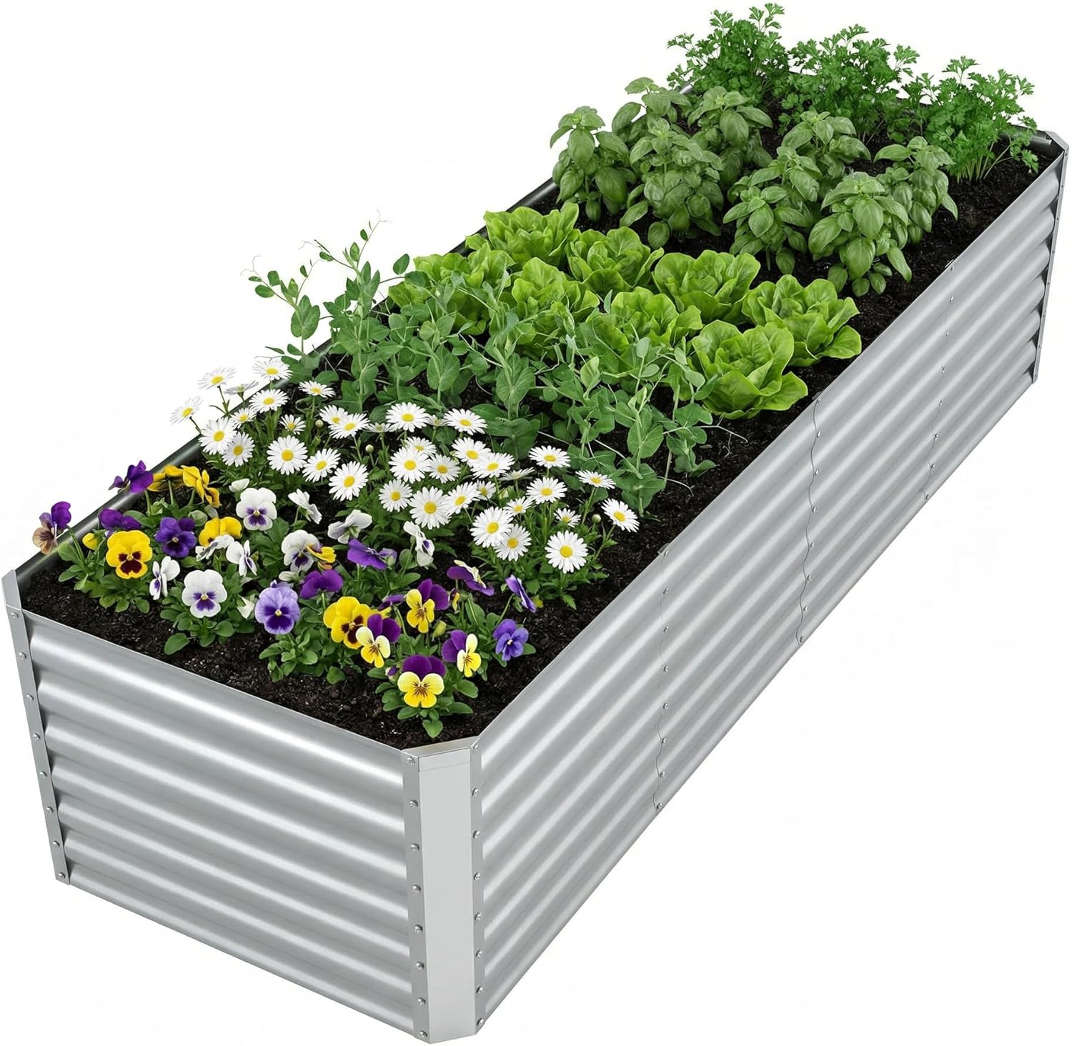 Raised Garden Bed - Verhoogd gegalvaniseerd tuinbed voor het kweken