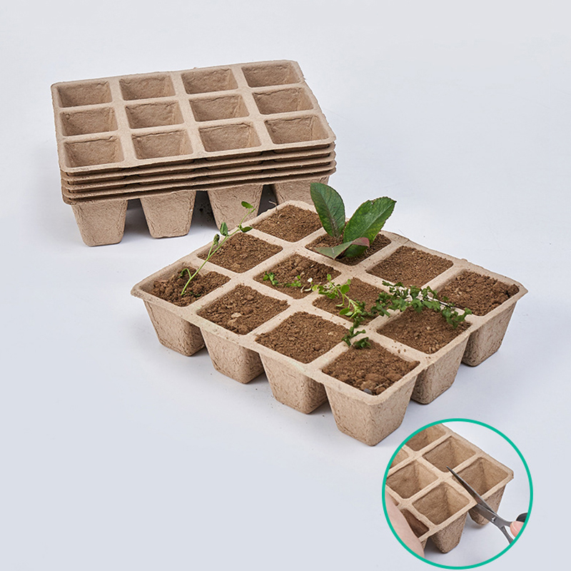 Seed Starter Tray - 5 Stuks 12-Holes Plant Kwekerij Tray