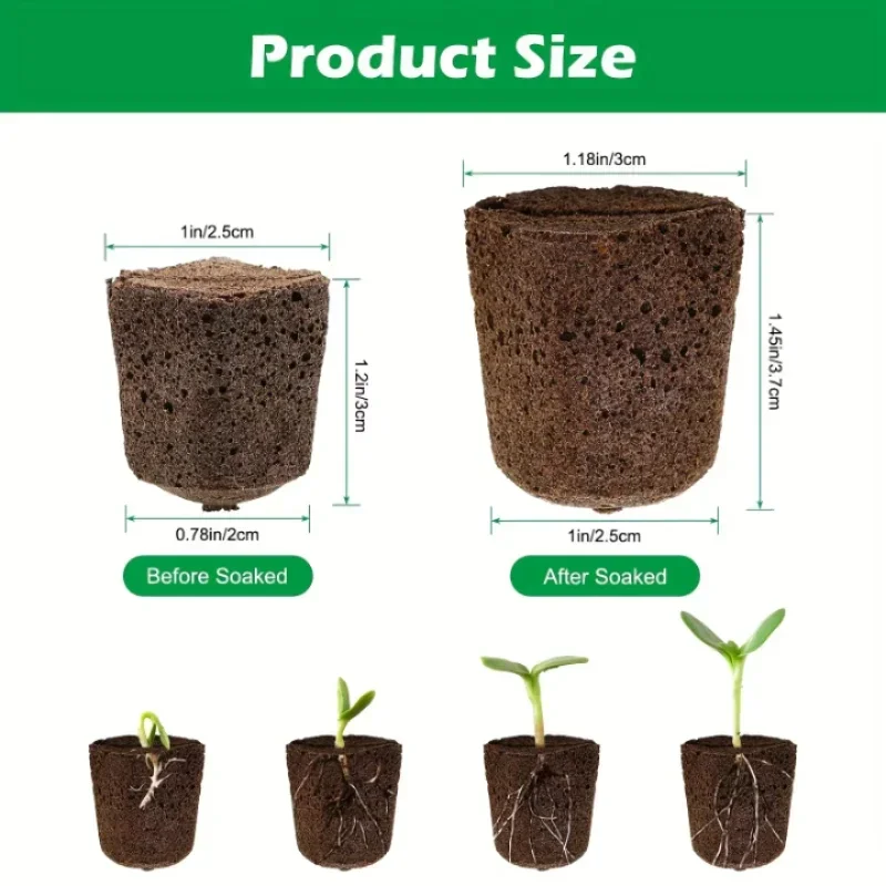 Hydroponic Kit - Zaailingstartset met sponsjes voor hydroponische binnenkweeksystemen,