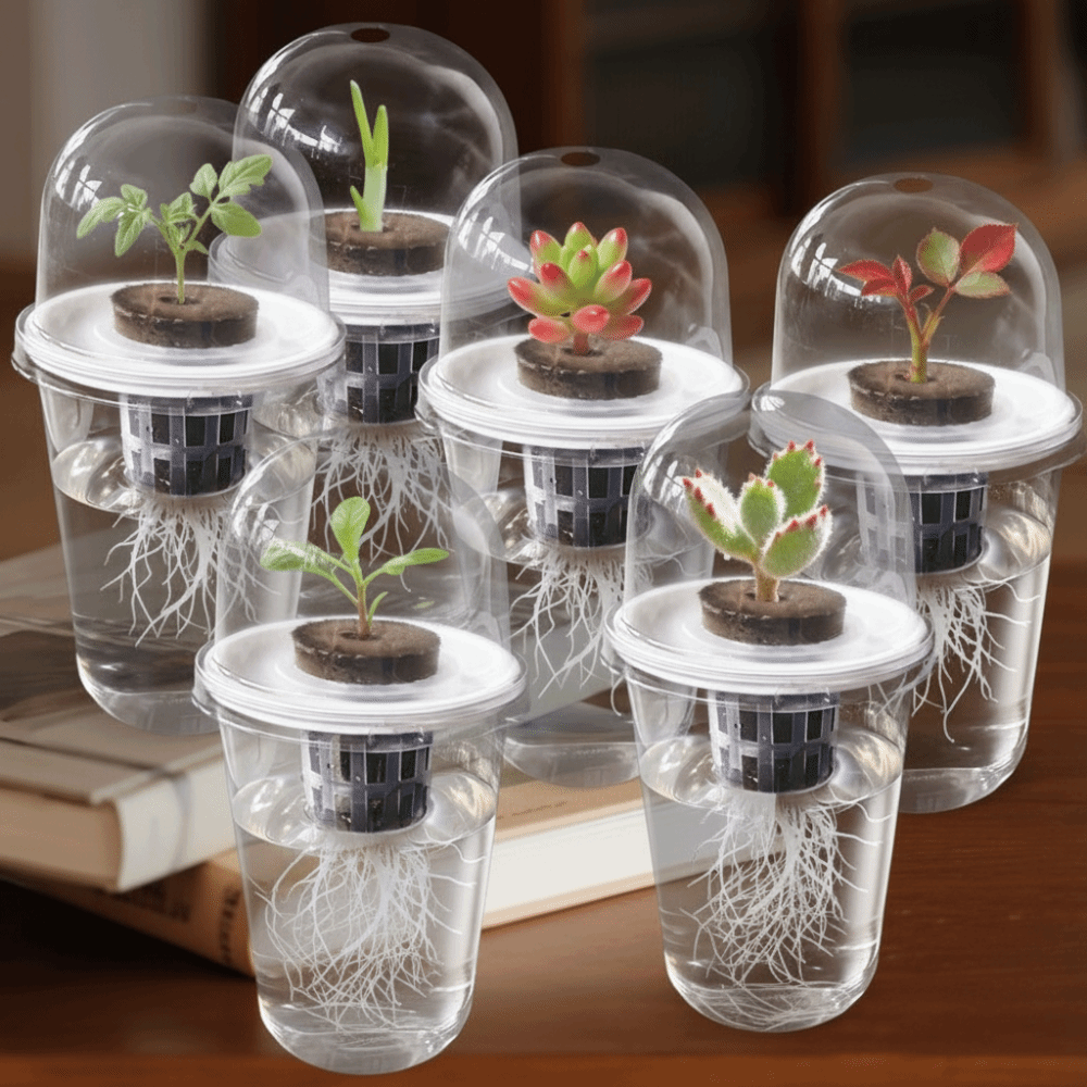 Seed Starter Tray - 1-5pc Zichtbare Transparante Plantenkweekbak Hydroponische Zaadplanters