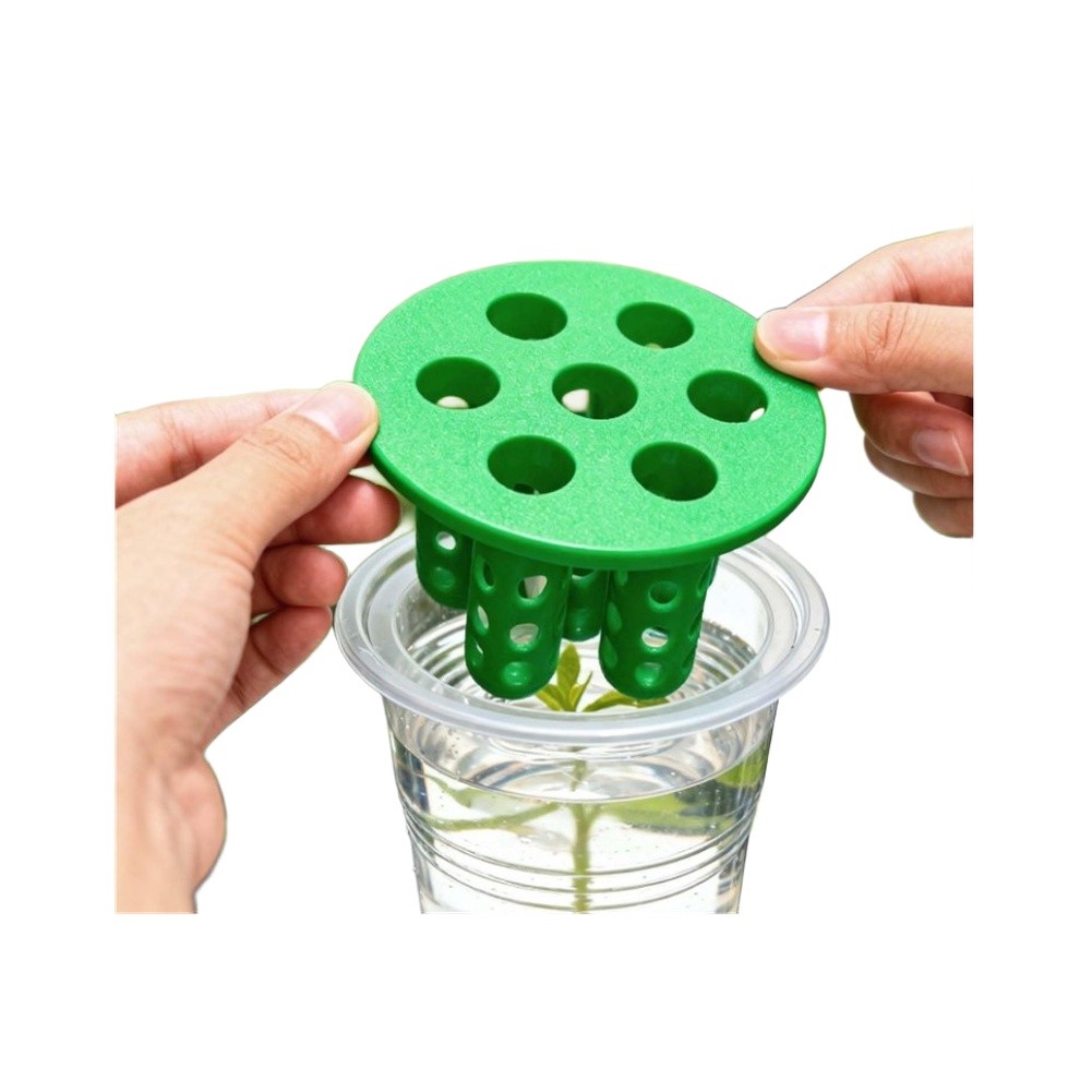 Hydroponic Kit - 4 stuks groene-ui-herkweeksets: kweekbak voor groene