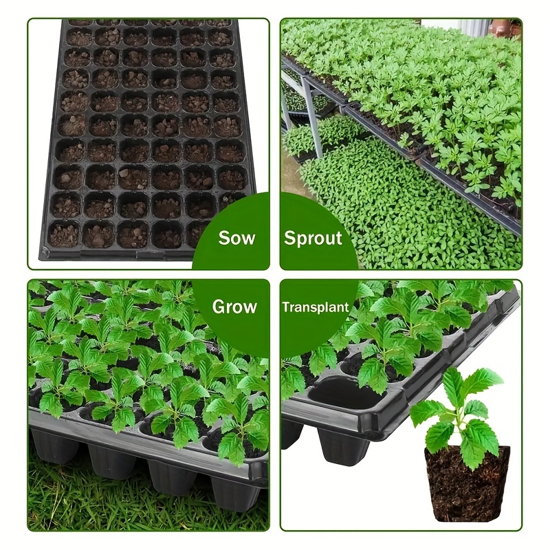 10, kinderkamerbak, kaskiem- e - Seed Starter Tray recensie en prijs