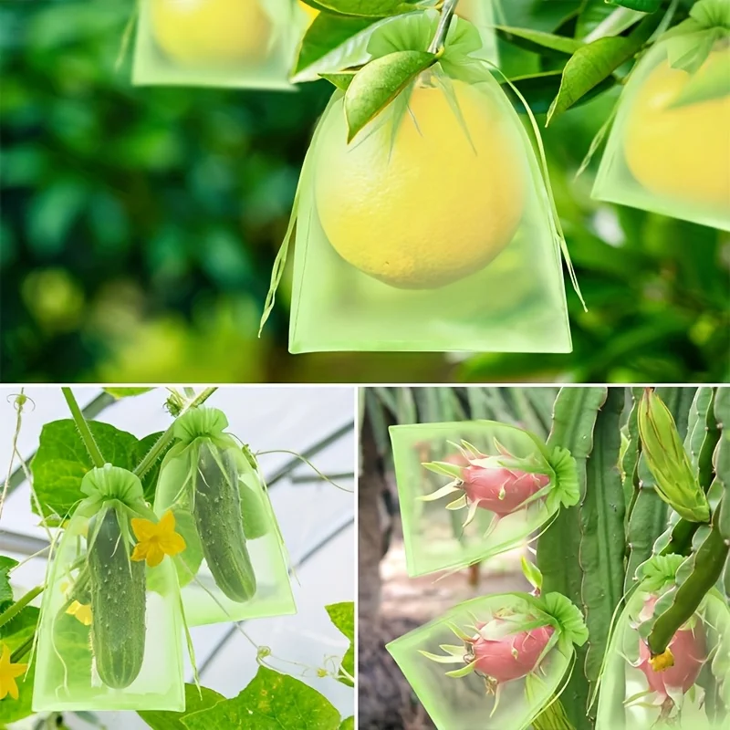 100 stuks groene beschermende  - Grow Bag recensie en prijs