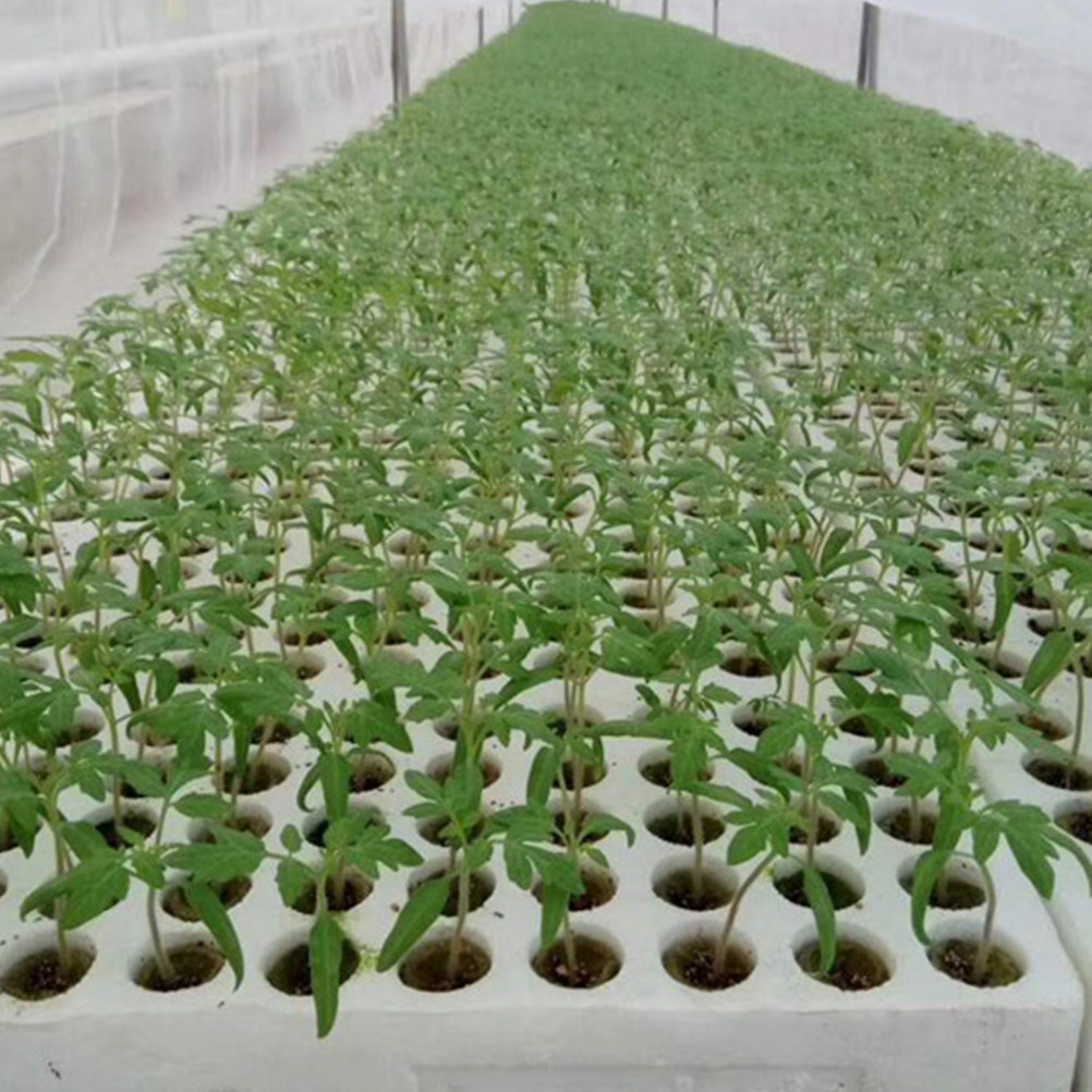 40 stuks kweekblokjes voor bod - Hydroponic Kit recensie en prijs
