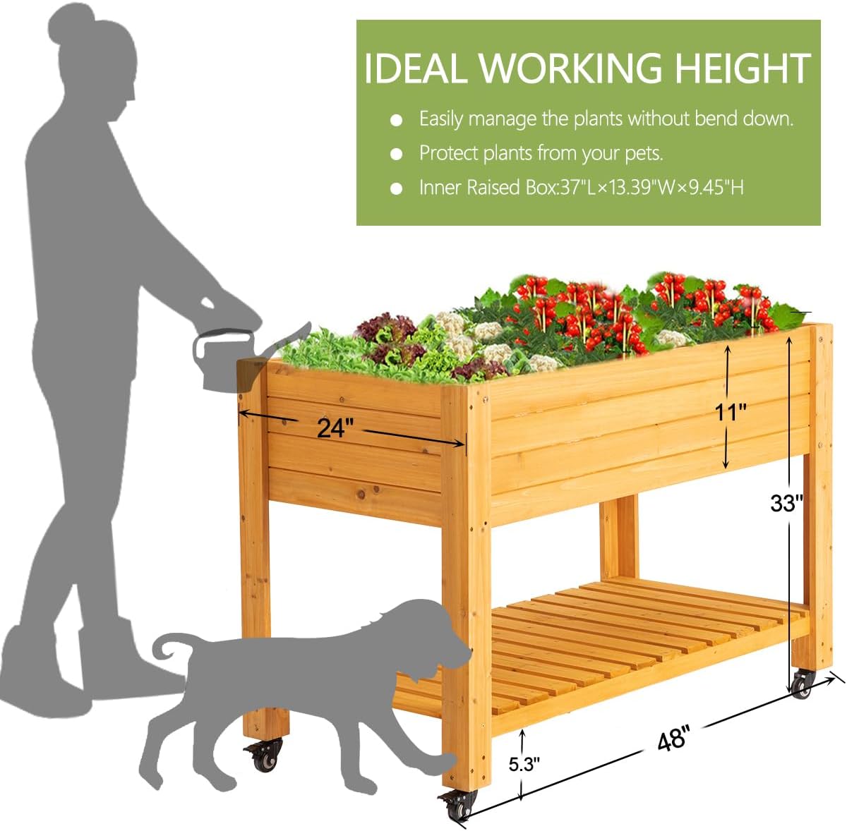 Mobiele houten verhoogde moest - Raised Garden Bed recensie en prijs