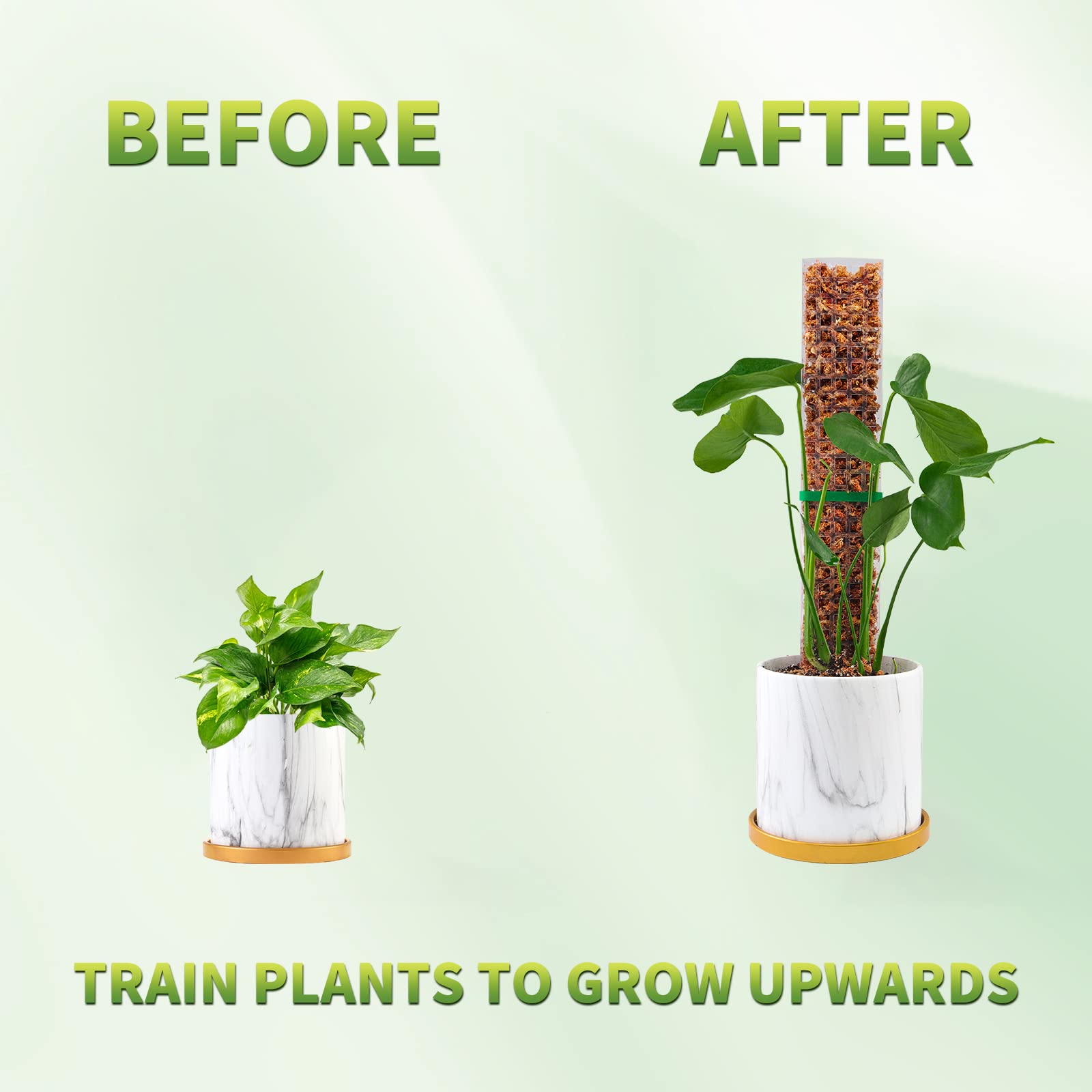 Mosstokken Planten Plantensteu - Indoor Herb Garden recensie en prijs