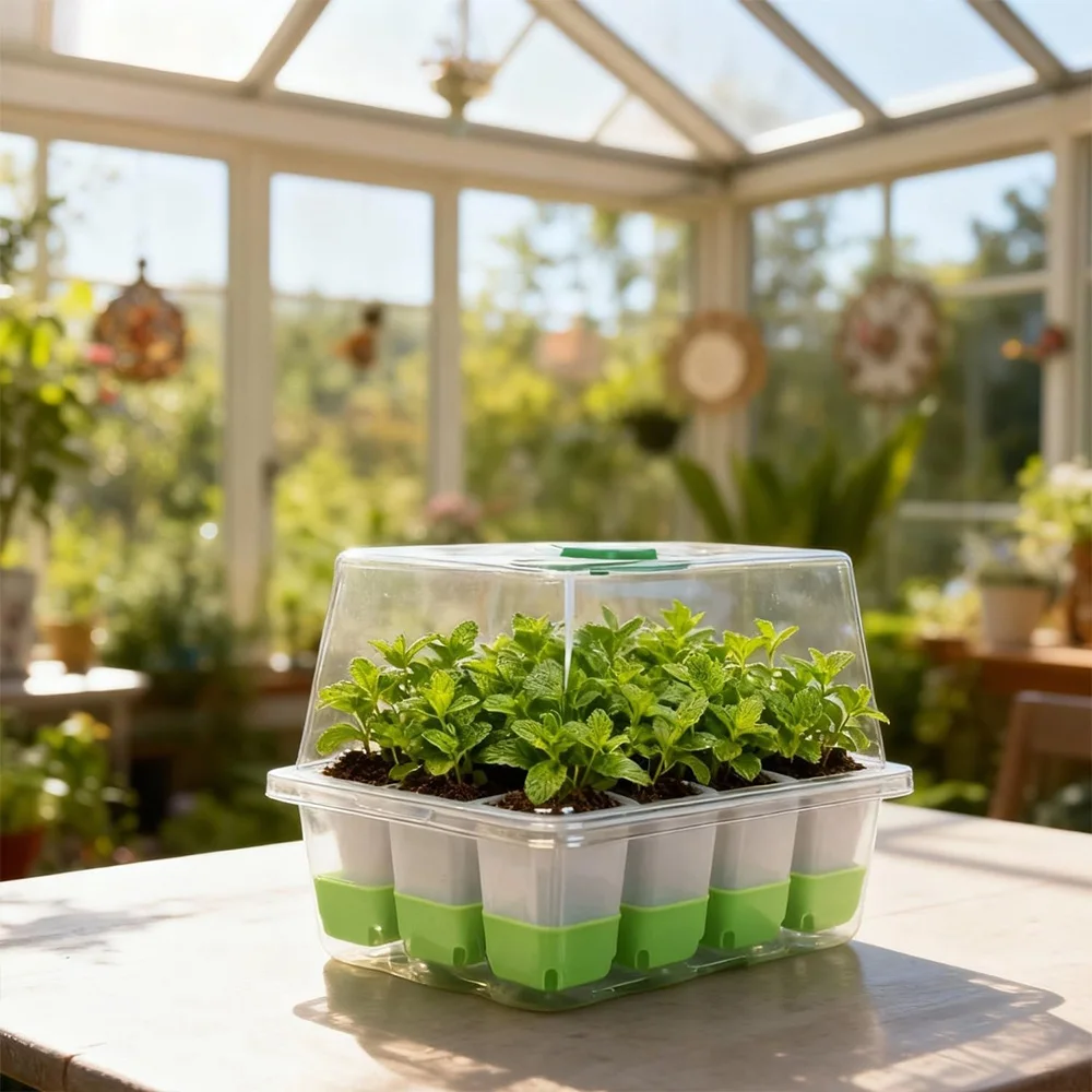 12-cel zaaitray met transparan - Seed Starter Tray recensie en prijs