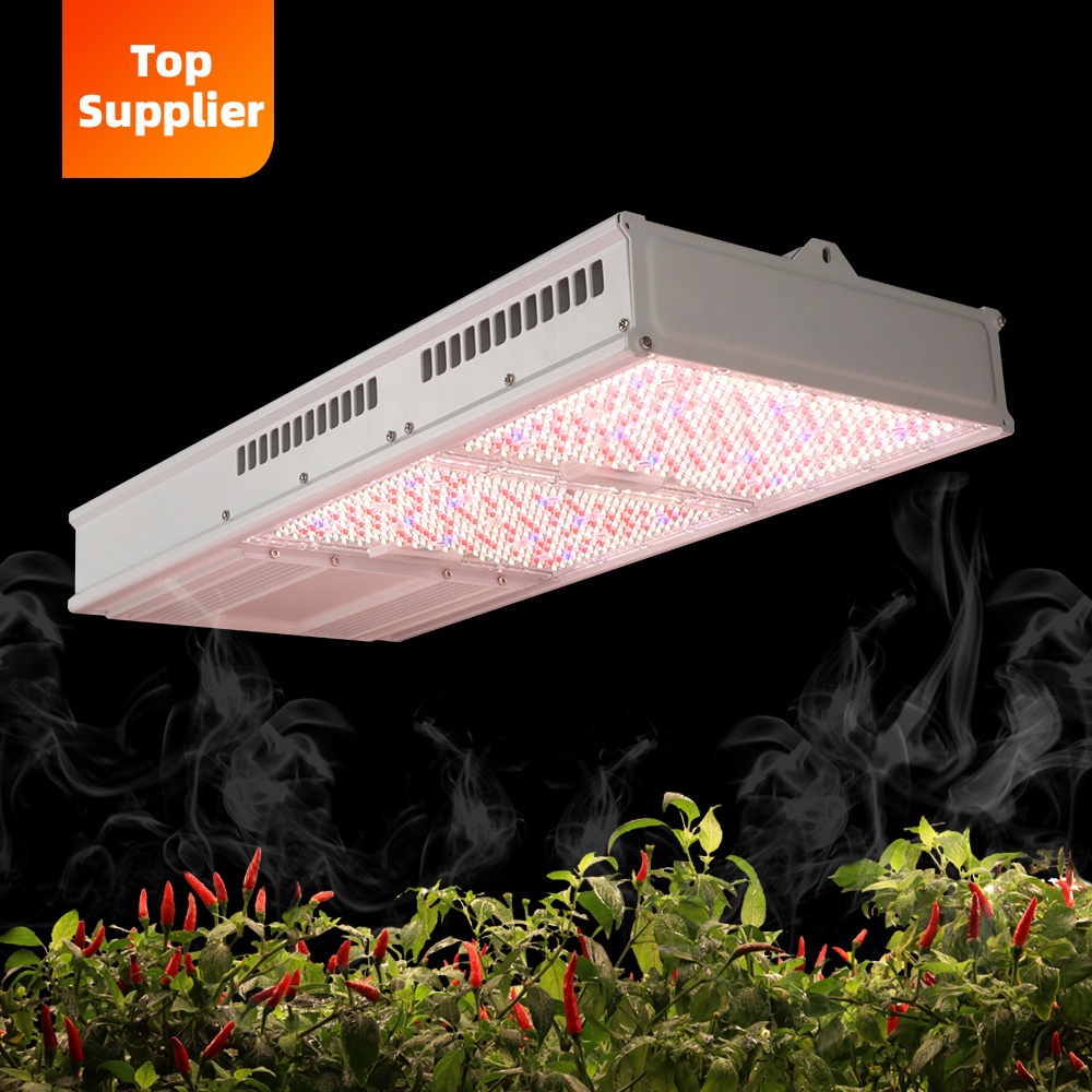 Kosteneffectieve 600W 800W Top - Grow Light Led recensie en prijs