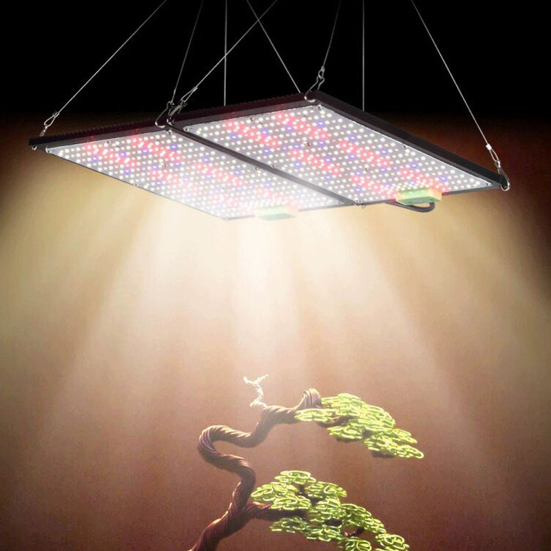 LED Quantum-Board Kweeklamp Vo - Grow Light Led recensie en prijs