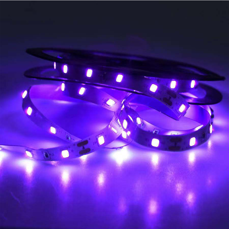 UV LED-ultraviolet licht, zwar - Grow Light Led recensie en prijs