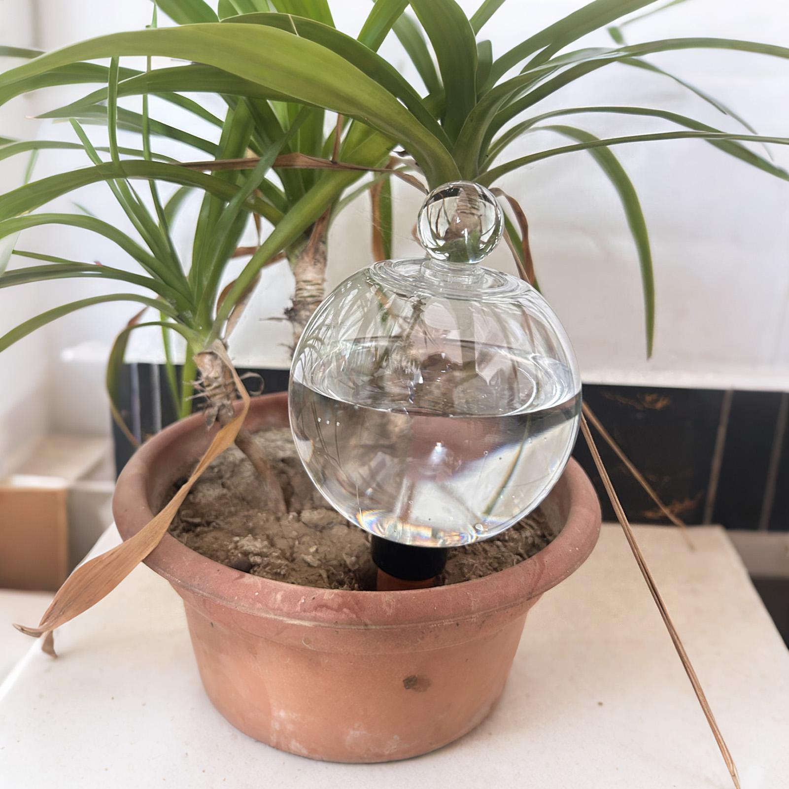 Plantenbewateringsbollen 4 stu - Self Watering Planter recensie en prijs