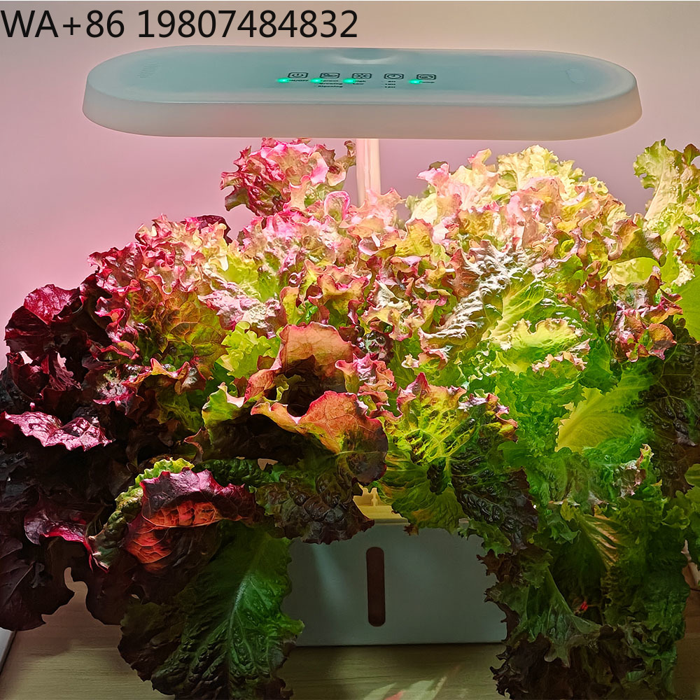 8-gaats stille circulatie soil - Hydroponic Kit recensie en prijs