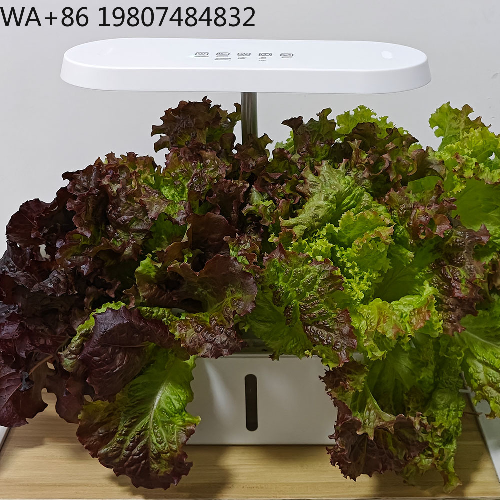 8-gaats stille circulatie soil - Hydroponic Kit recensie en prijs