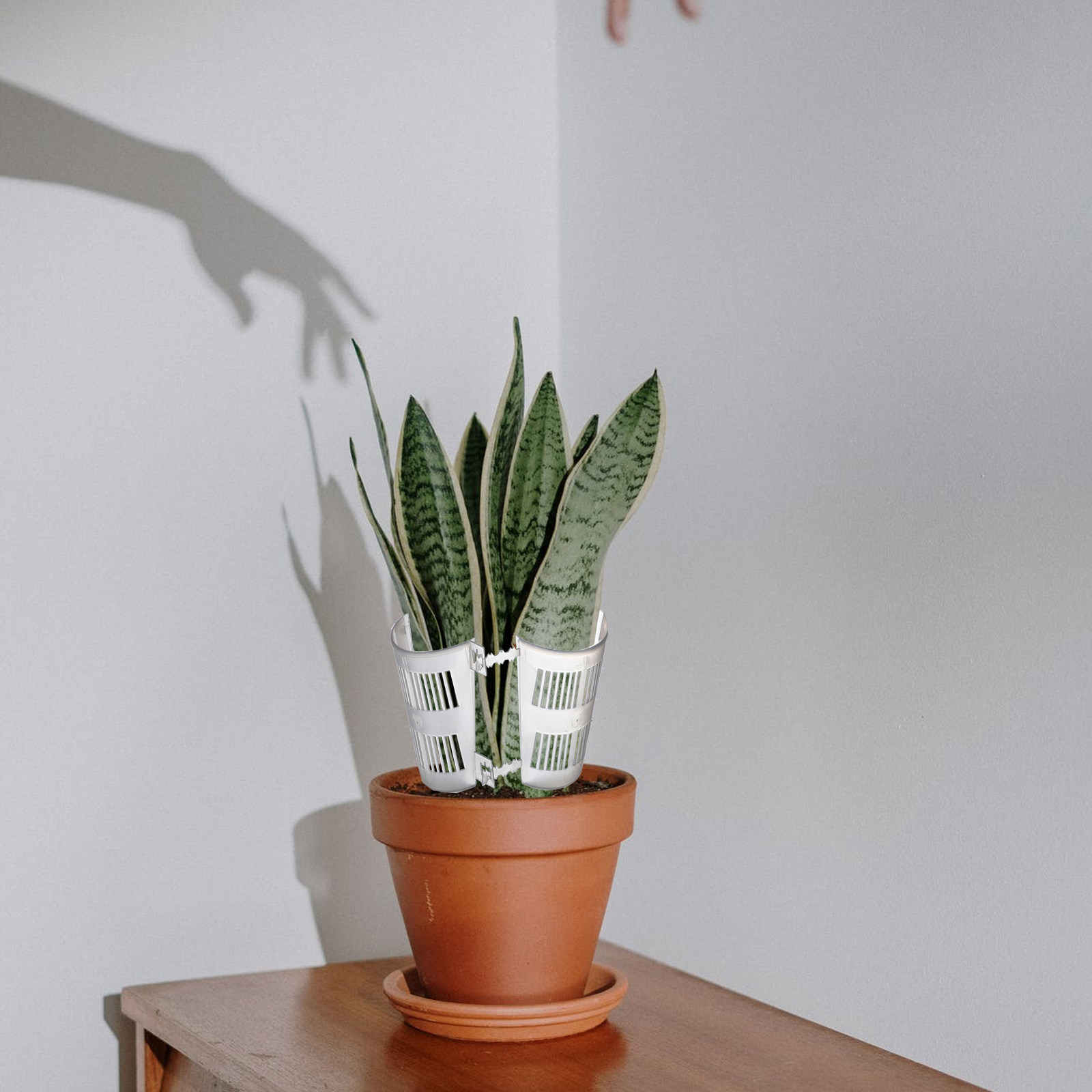 10 stuks plantenpotten met wor - Plant Pot recensie en prijs