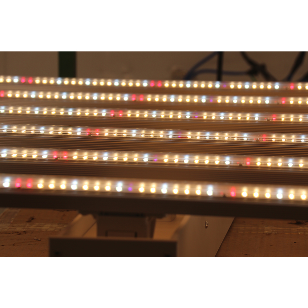 2023 Dropshipping Fabrieksdire - Grow Light Led recensie en prijs