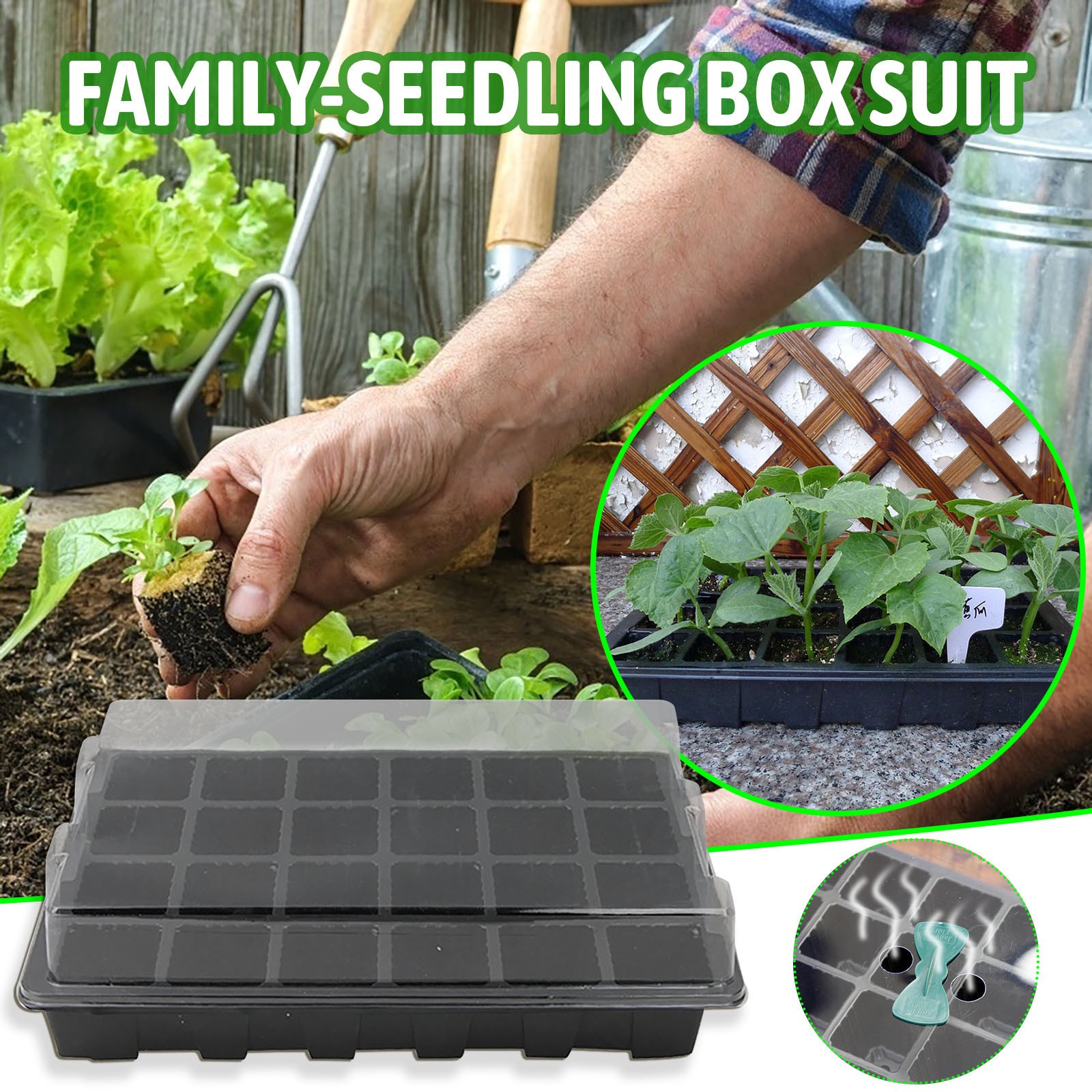 24 Cellen Zaailing Lade Kiemin - Seed Starter Tray recensie en prijs