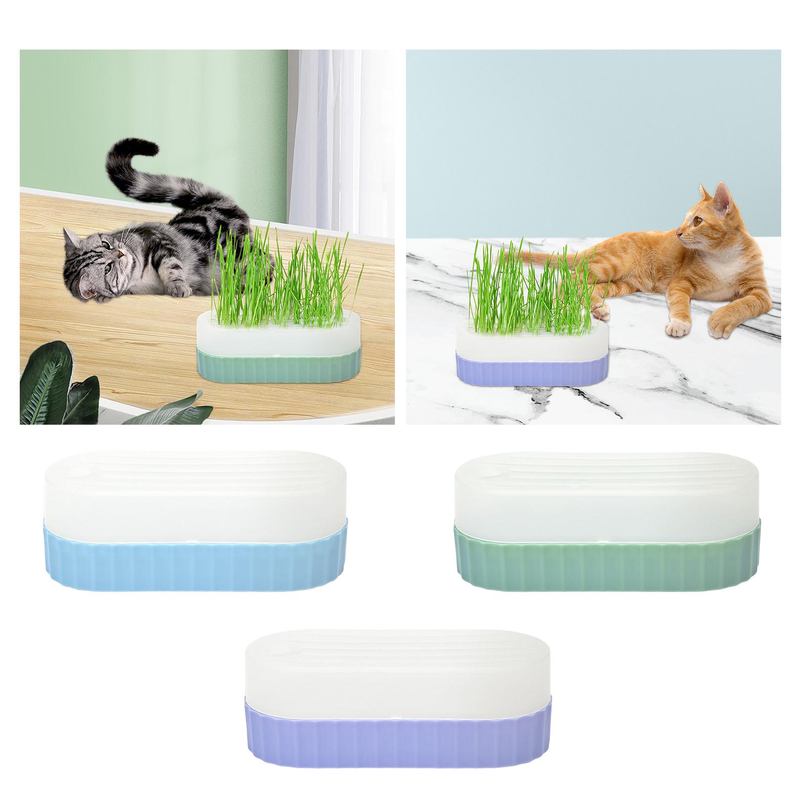 Zaai- en groeitrays met afvoer - Hydroponic Kit recensie en prijs
