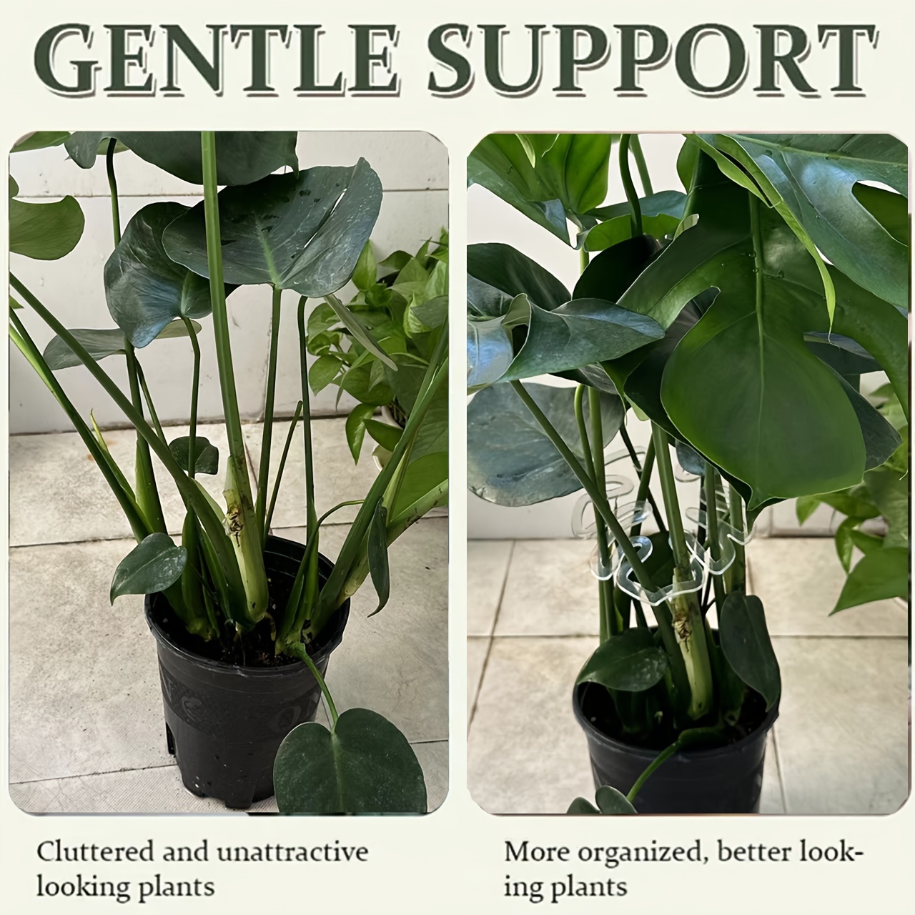 Flexibele kunststof Monstera p - Vertical Planter recensie en prijs