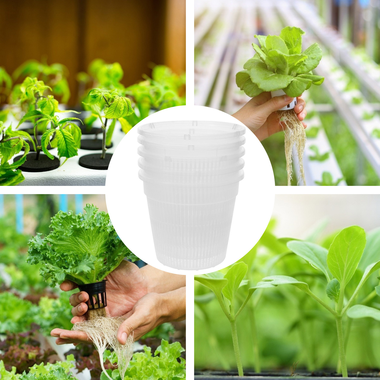5 stuks hydroponische plantenb - Plant Pot recensie en prijs