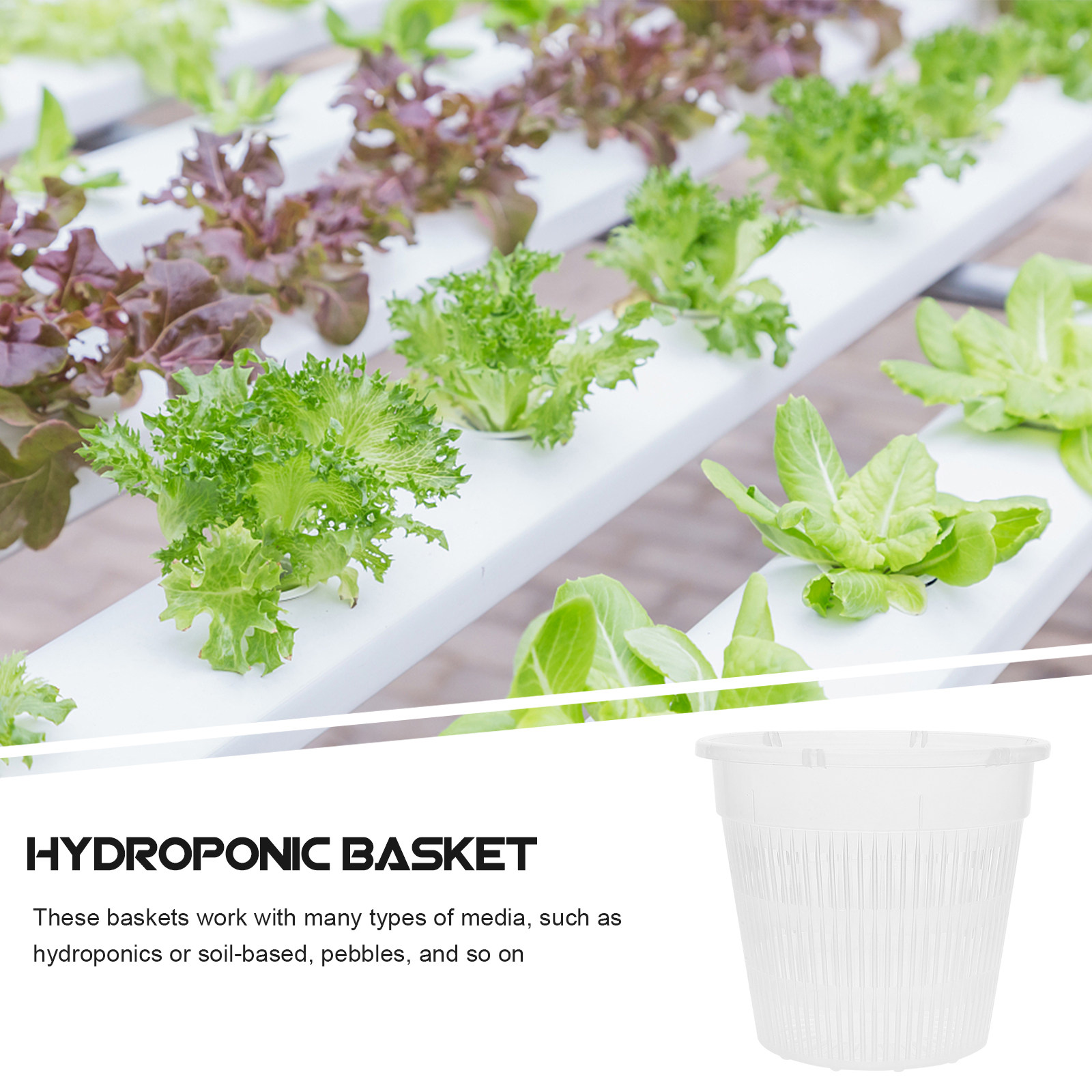 5 stuks hydroponische plantenb - Plant Pot recensie en prijs