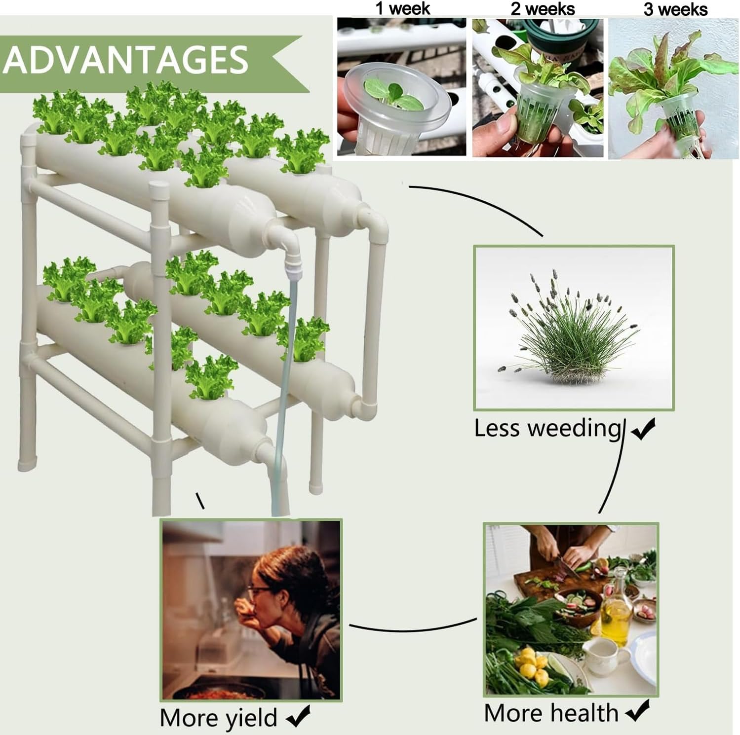 Hydroponisch kweeksysteem 20 g - Hydroponic Kit recensie en prijs