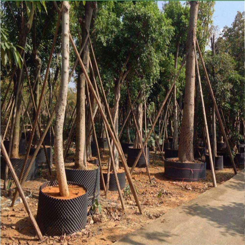 Kweekcontainer Tuin Boom Bonsa - Plant Pot recensie en prijs