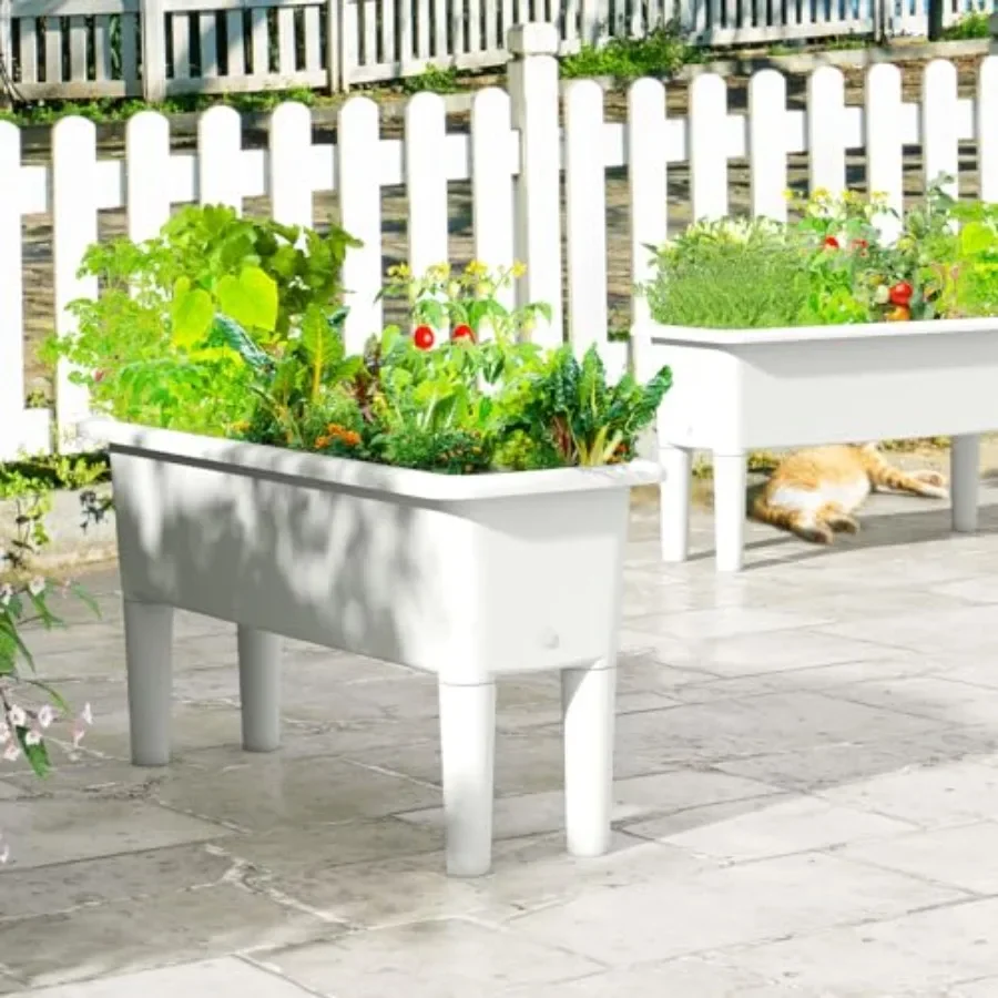 Verhoogde plantenbakken voor b - Self Watering Planter recensie en prijs