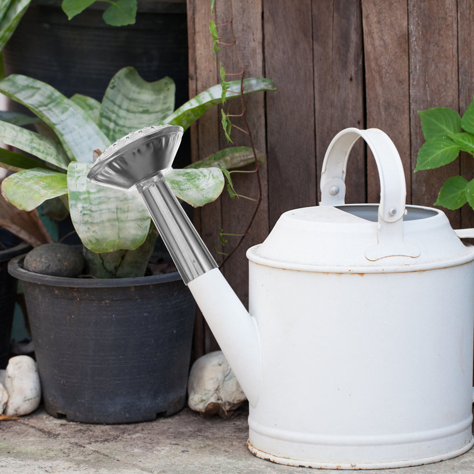 Roestvrijstalen sproeikop voor - Watering Can recensie en prijs