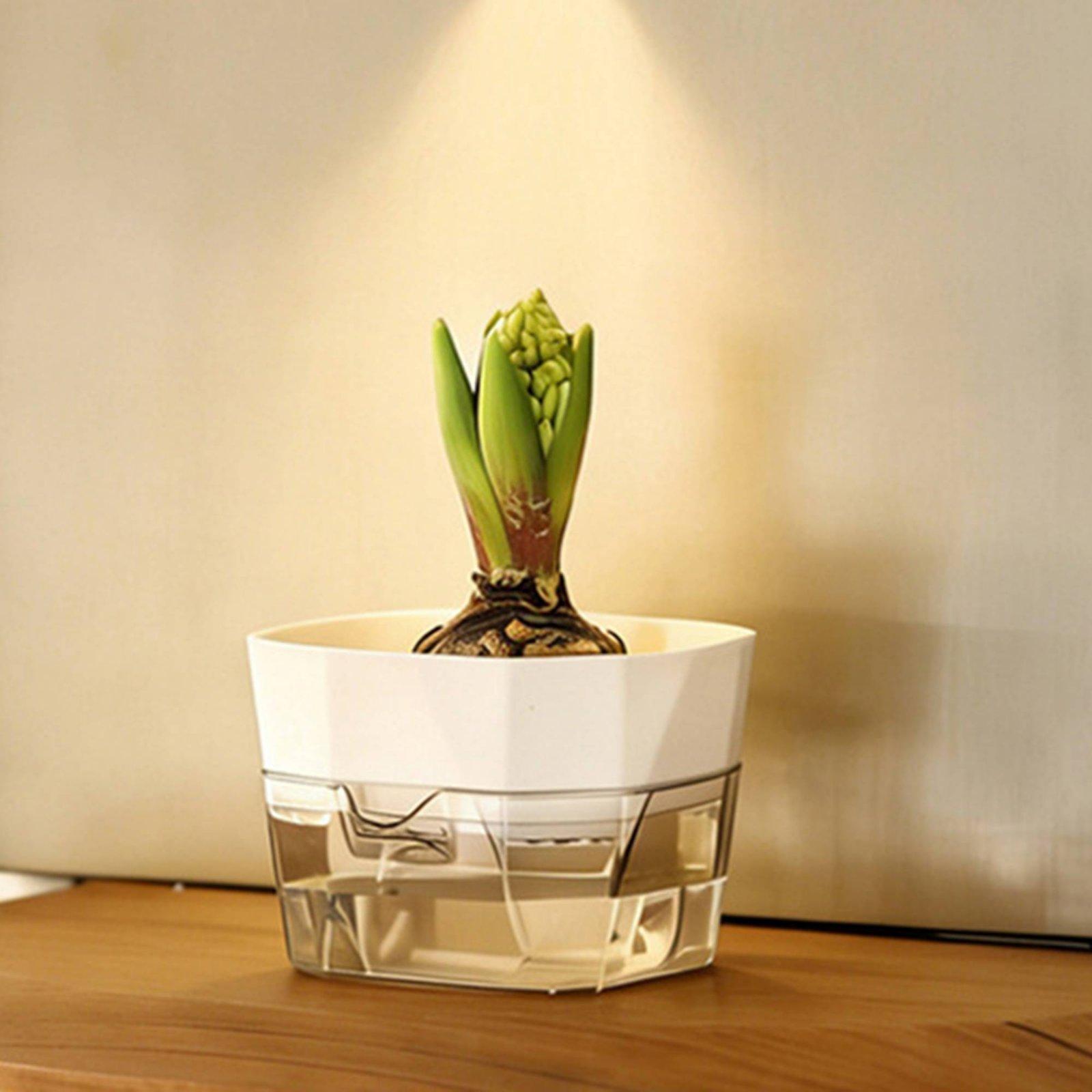 Hydroponische vaas met twee la - Plant Pot recensie en prijs