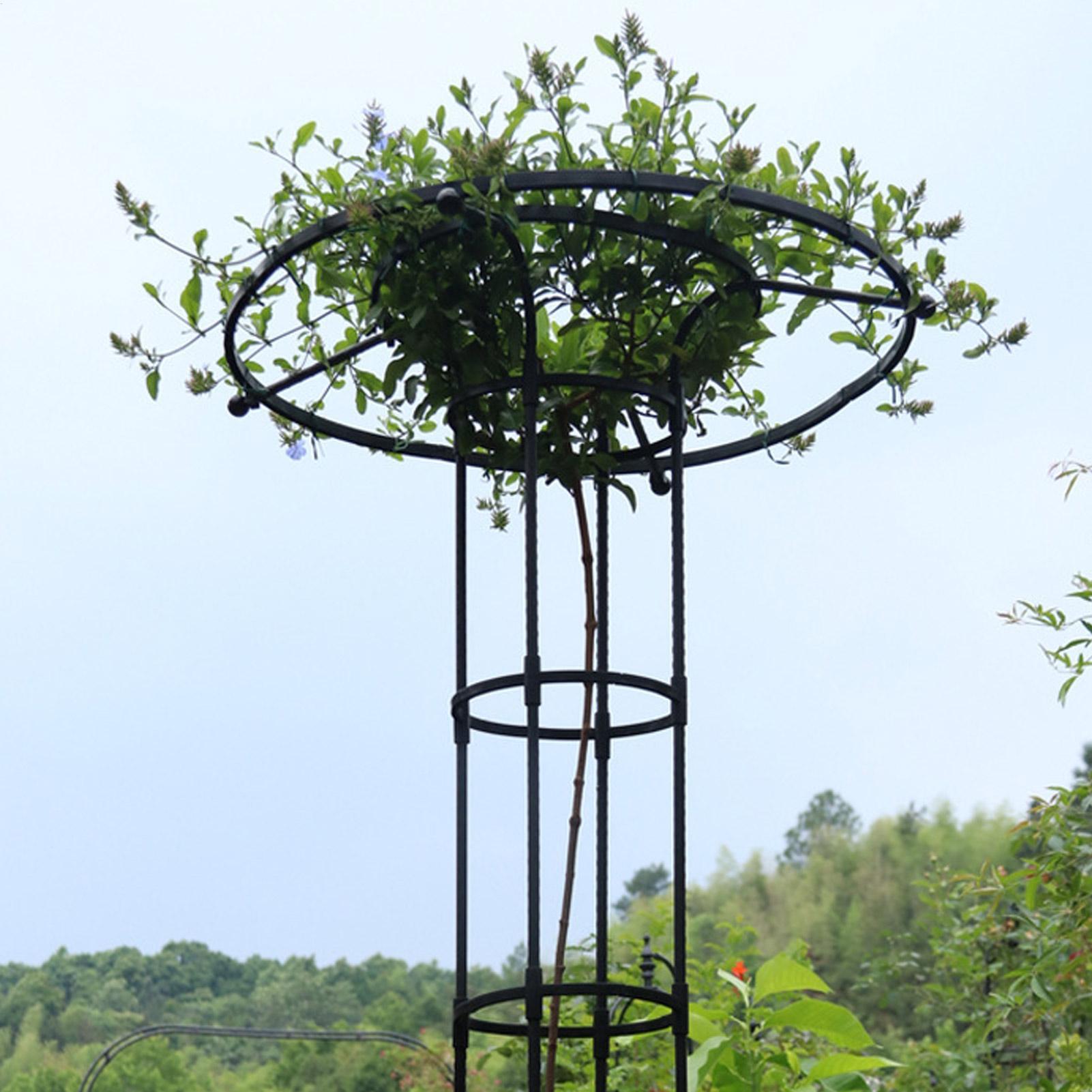 Tuinranken Paraplutoren Plante - Vertical Planter recensie en prijs