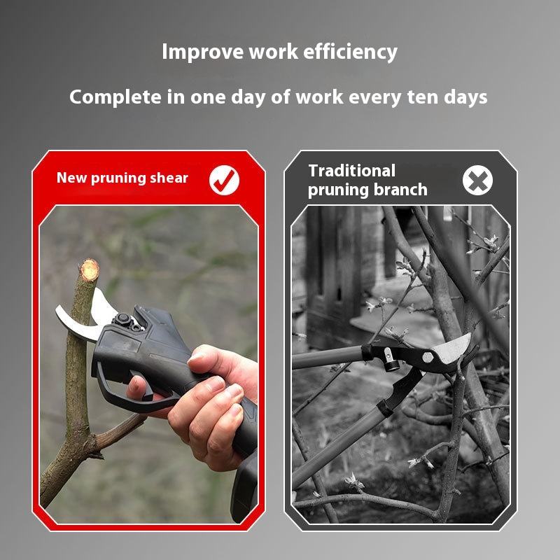 Draadloze elektrische tuinsnoe - Pruning Shears recensie en prijs