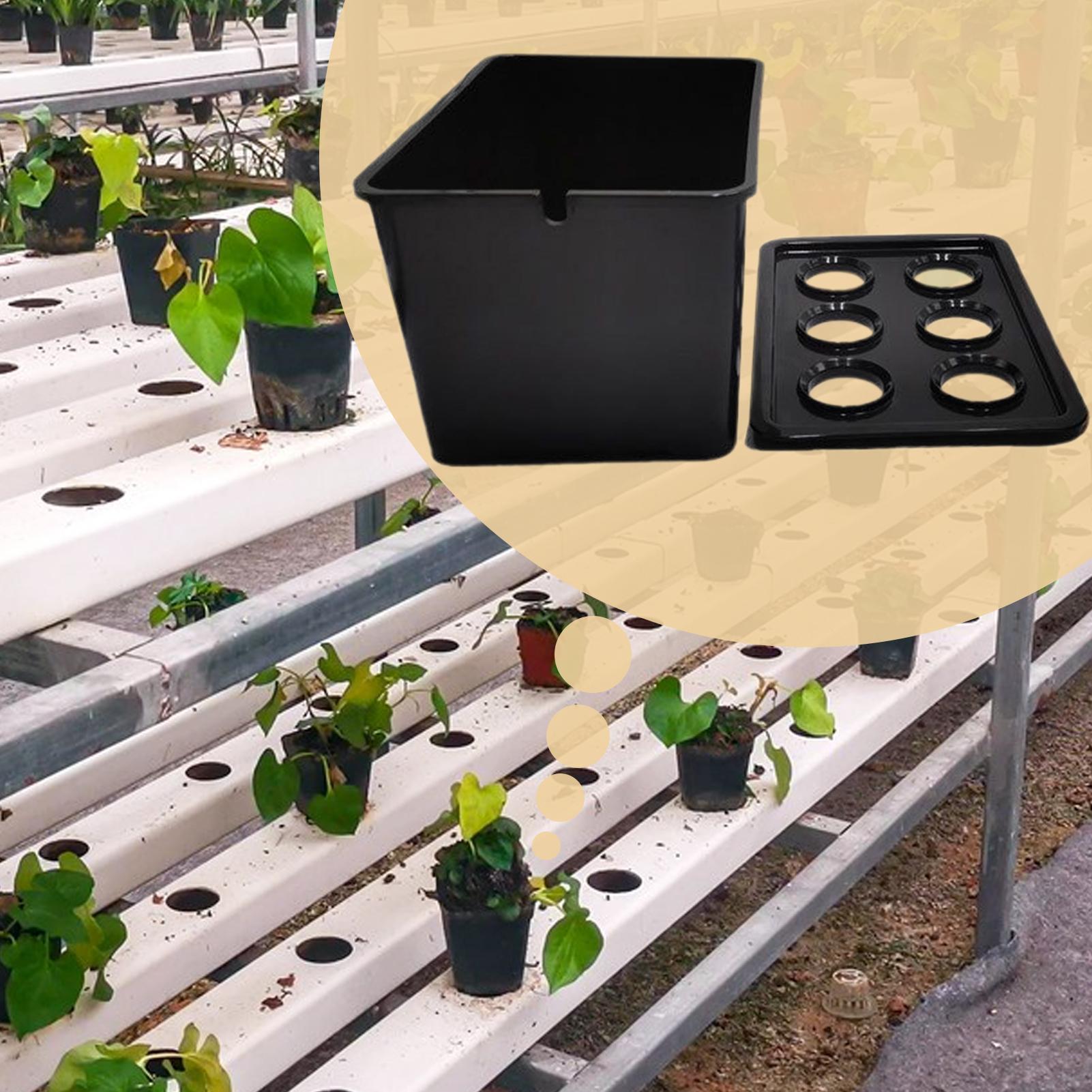 Hydrocultuur plantkit Beginner - Hydroponic Kit recensie en prijs