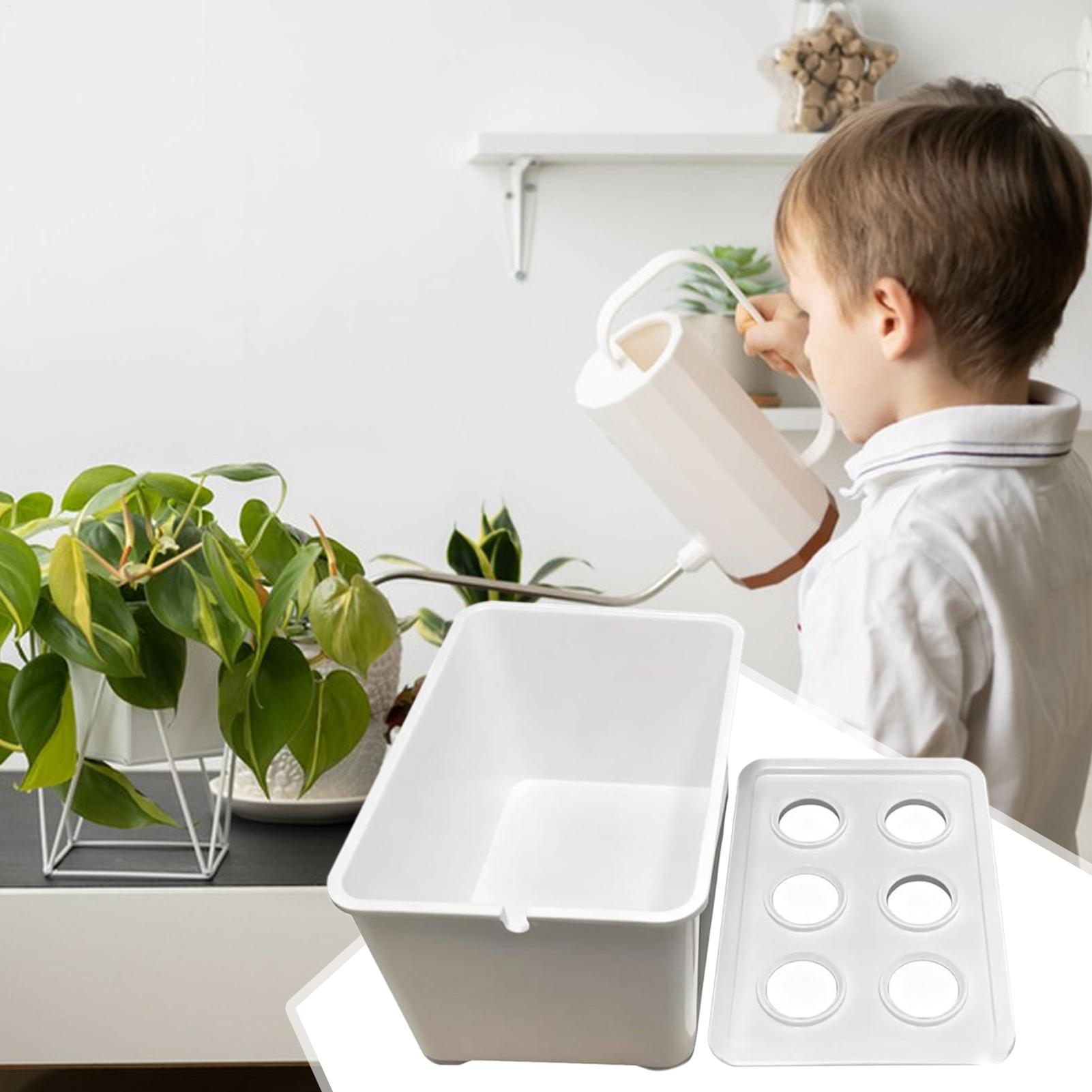 Hydrocultuur plantkit Beginner - Hydroponic Kit recensie en prijs