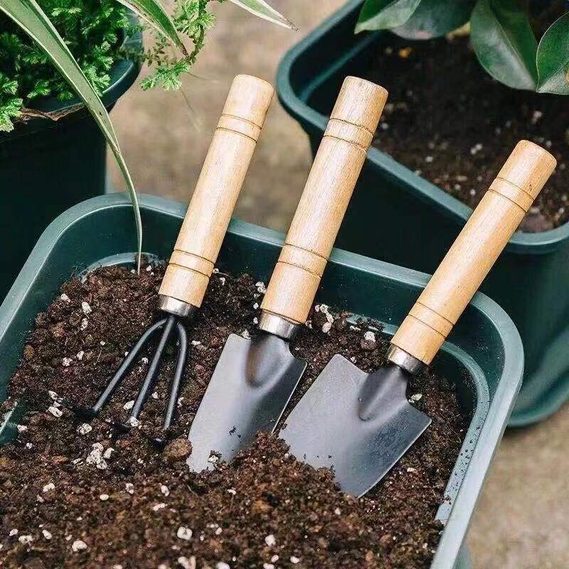 3PC/1Set Mini Tuingereedschap  - Indoor Herb Garden recensie en prijs