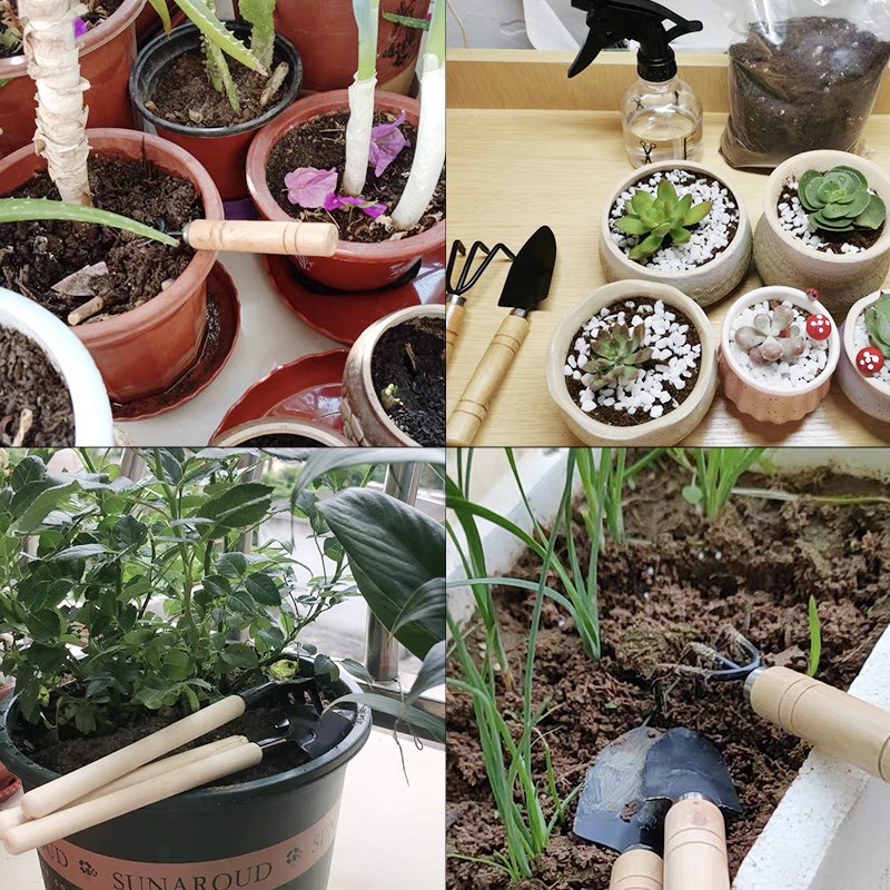 3PC/1Set Mini Tuingereedschap  - Indoor Herb Garden recensie en prijs