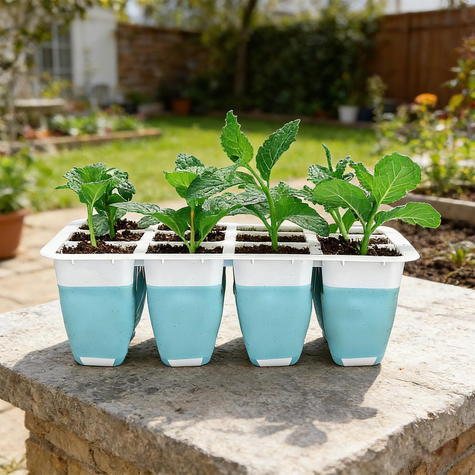 5-pack siliconen zaaitrays met - Seed Starter Tray recensie en prijs