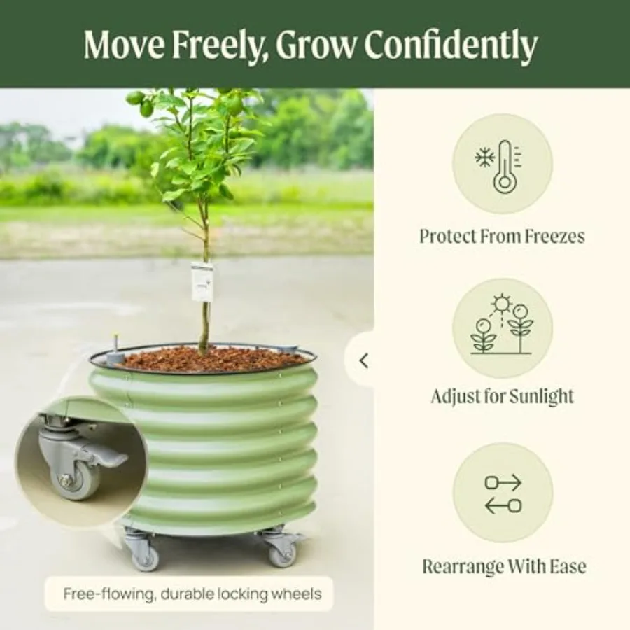 Rollende citrusboomplantenbak  - Self Watering Planter recensie en prijs