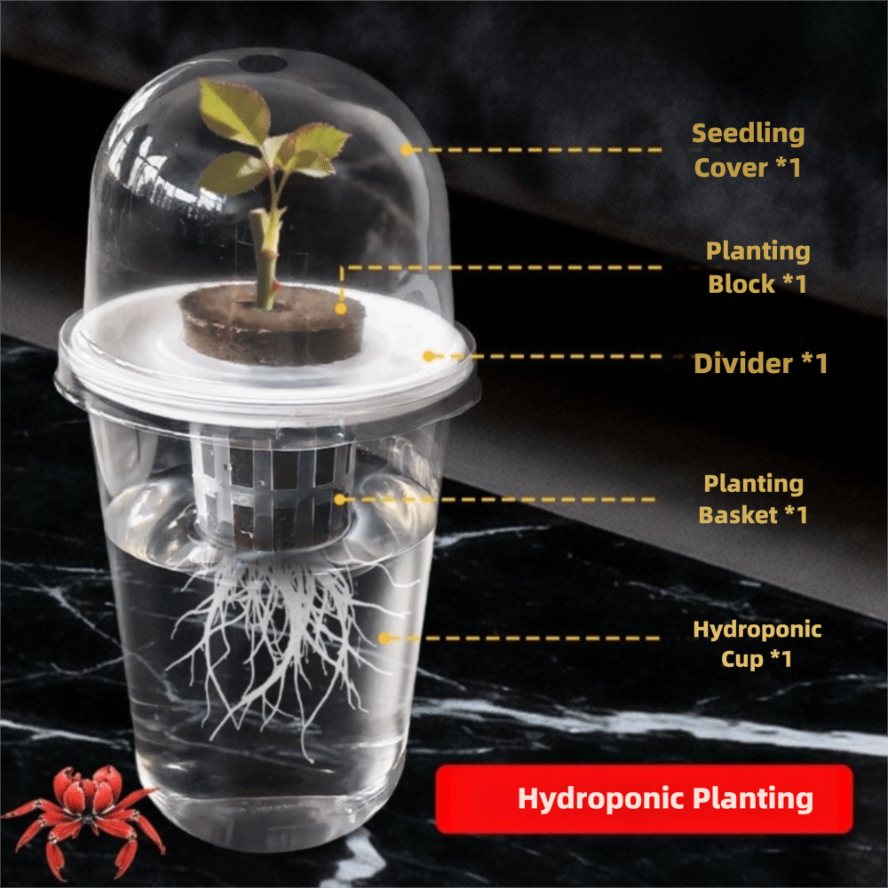 1-5pc Zichtbare Transparante P - Seed Starter Tray recensie en prijs