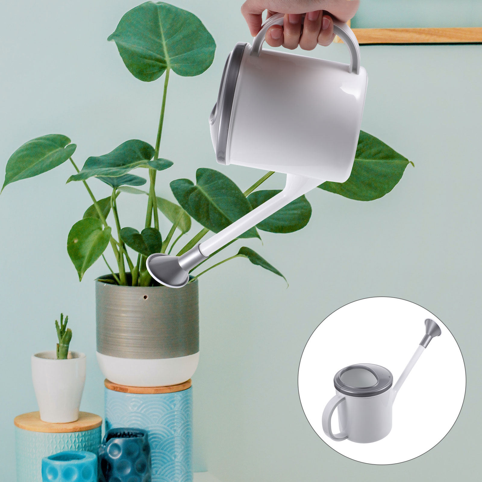 Huisbeplanting gieter met lang - Watering Can recensie en prijs