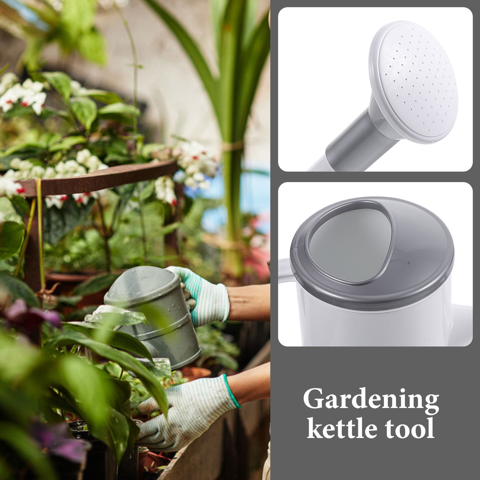 Huisbeplanting gieter met lang - Watering Can recensie en prijs