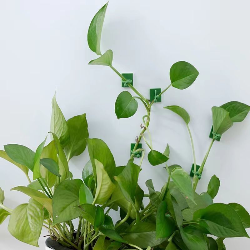 Zelfklevende klimplantenbevest - Indoor Herb Garden recensie en prijs