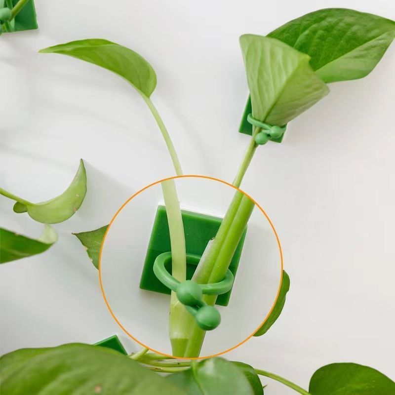 Zelfklevende klimplantenbevest - Indoor Herb Garden recensie en prijs