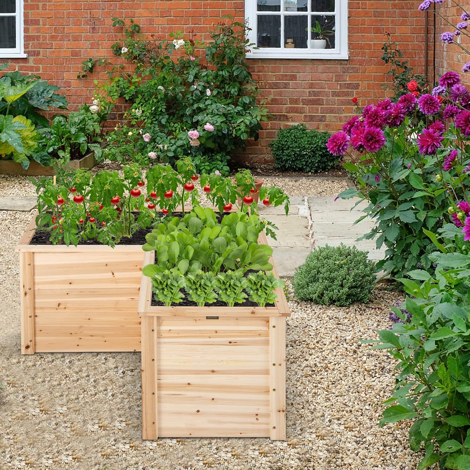 Buiten houten verhoogd tuinbed - Raised Garden Bed recensie en prijs
