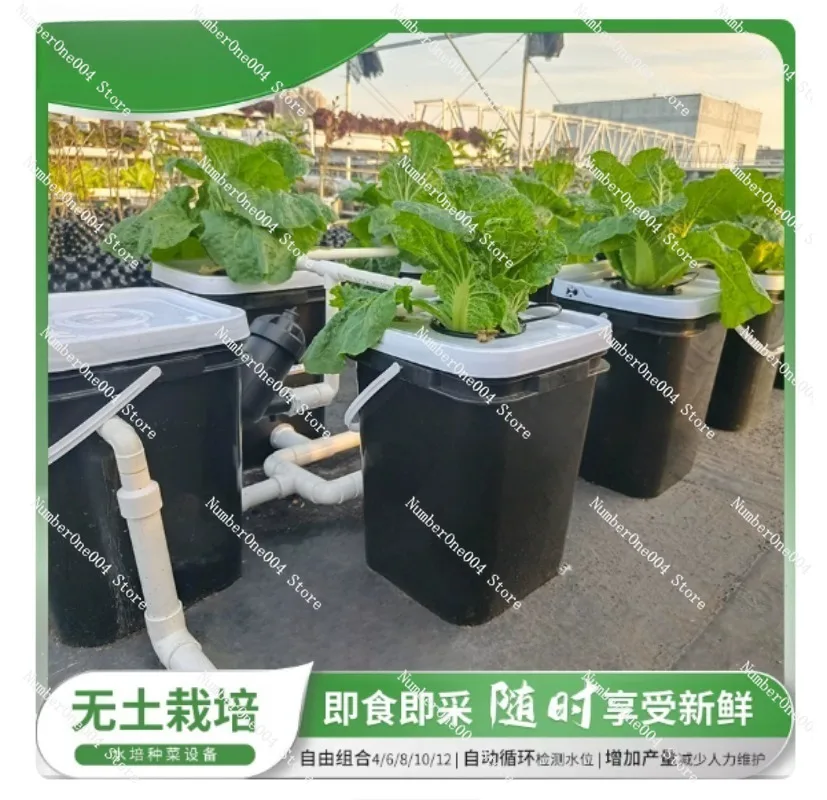 RDWC Home Balkon Hydroponisch  - Hydroponic Kit recensie en prijs
