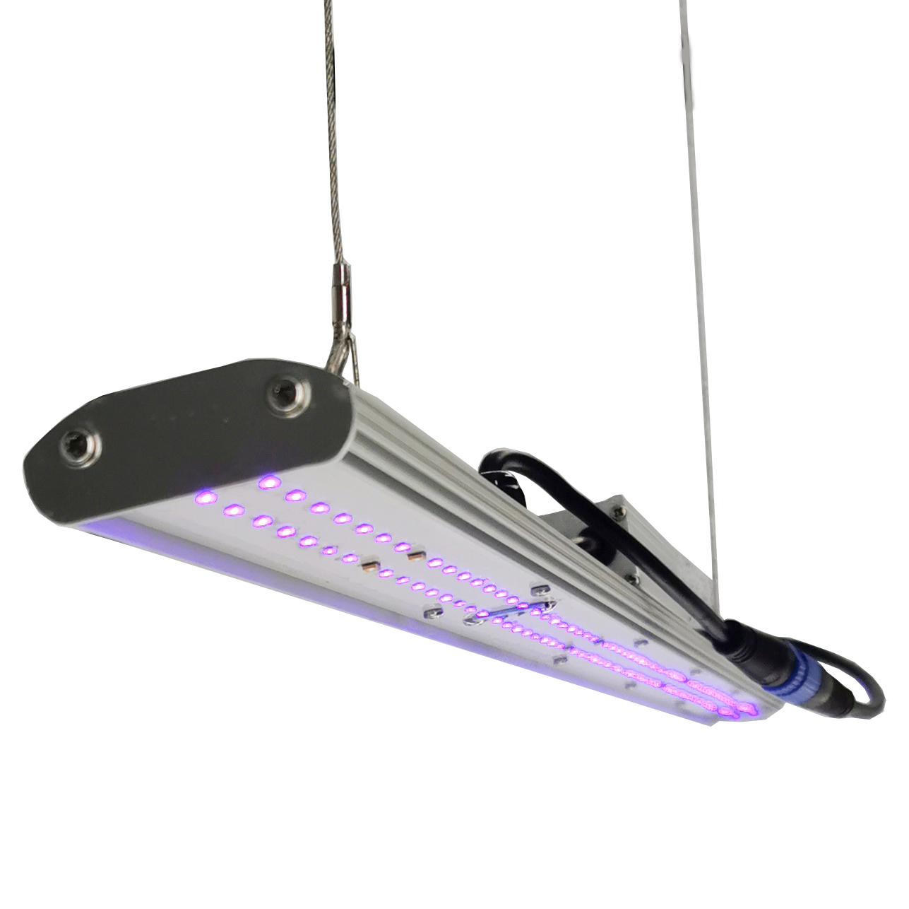 DANSE LED Handmatige Dimmer LE - Grow Light Led recensie en prijs