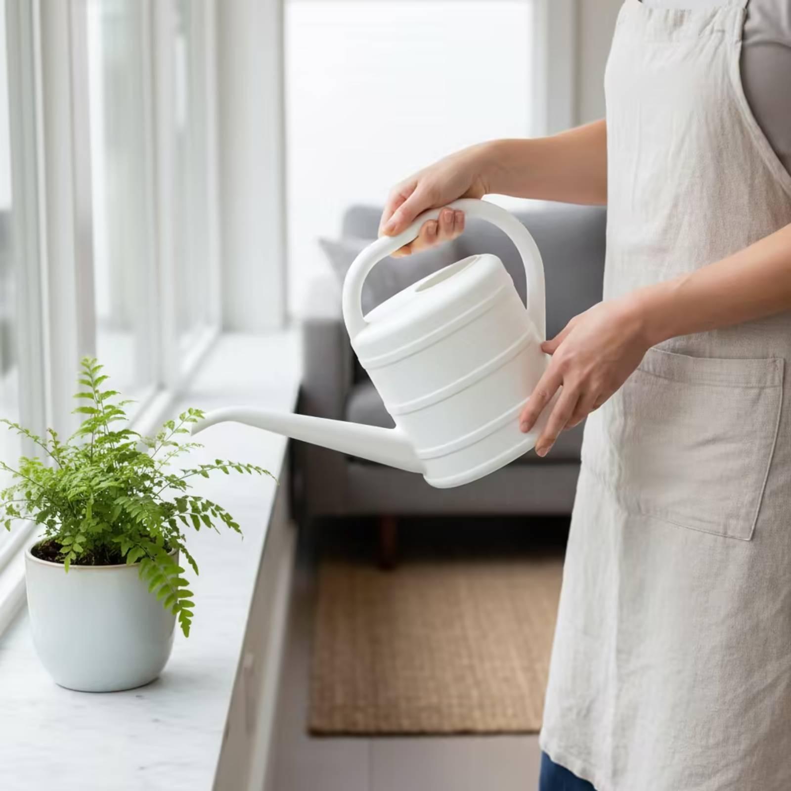 Gieter met lange tuit, makkeli - Watering Can recensie en prijs