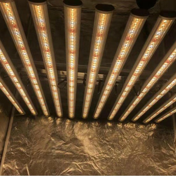 LUX China Fabriek Led Plantver - Grow Light Led recensie en prijs