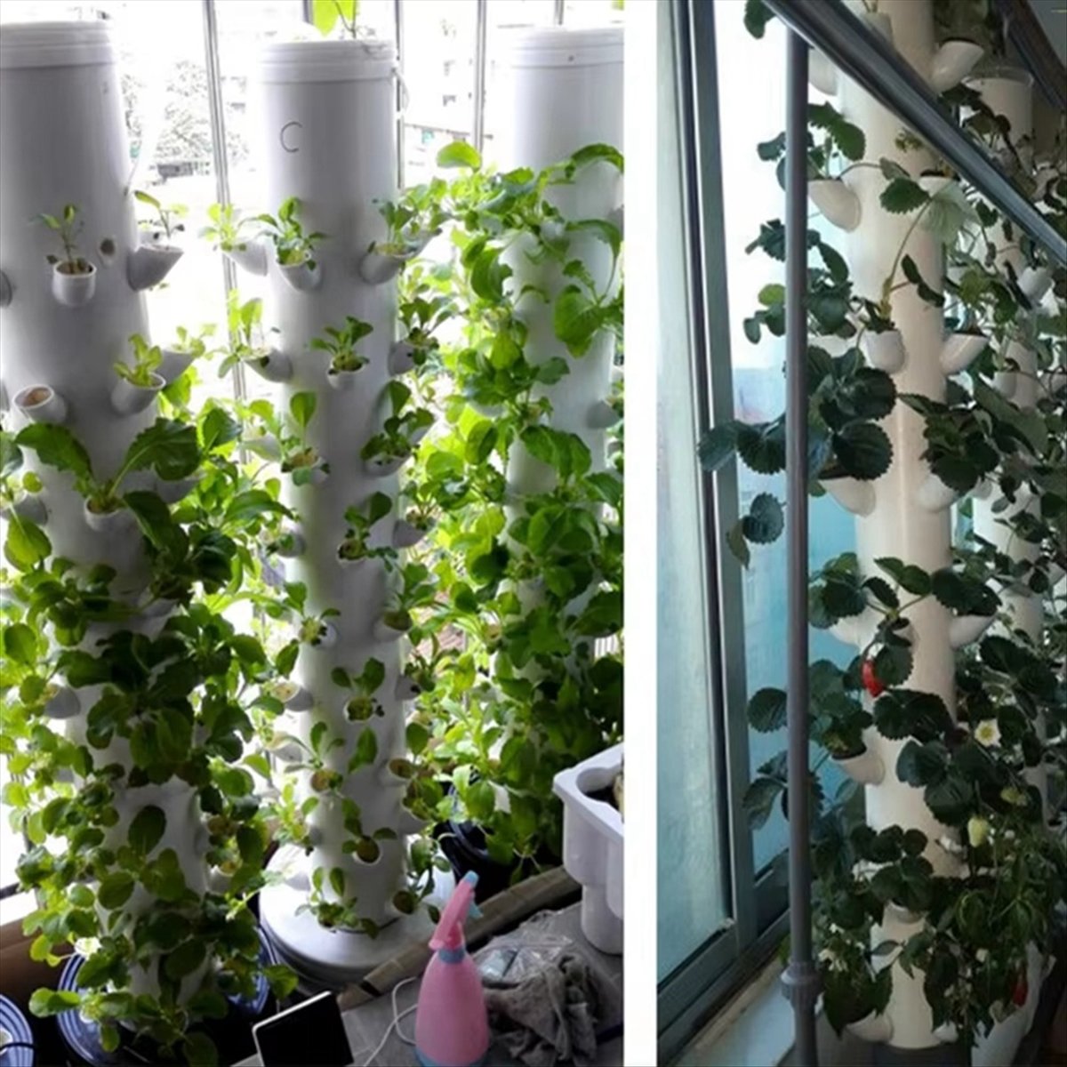 Hydroponische verticale torenc - Plant Pot recensie en prijs
